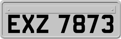 EXZ7873