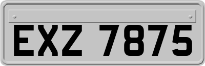 EXZ7875