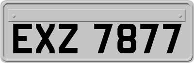 EXZ7877