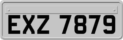 EXZ7879