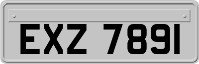 EXZ7891