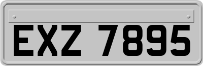 EXZ7895