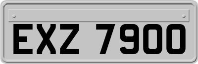 EXZ7900