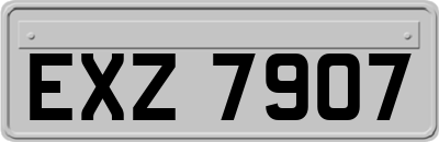 EXZ7907