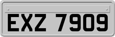 EXZ7909