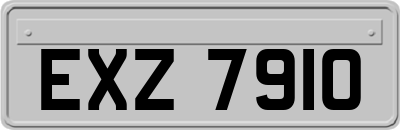EXZ7910