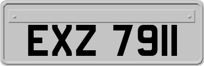 EXZ7911