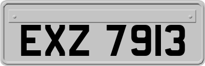 EXZ7913
