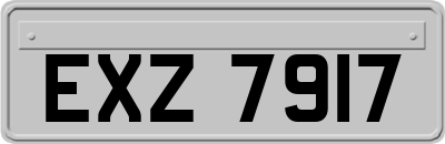EXZ7917
