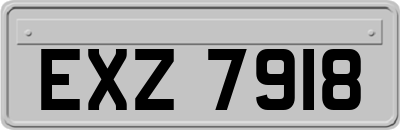 EXZ7918