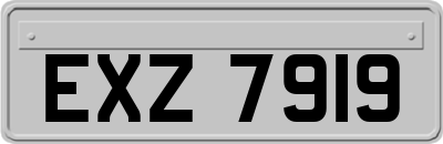EXZ7919