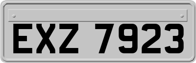 EXZ7923
