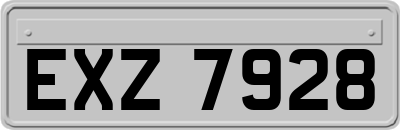EXZ7928