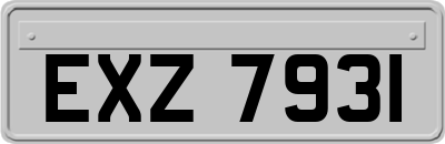 EXZ7931