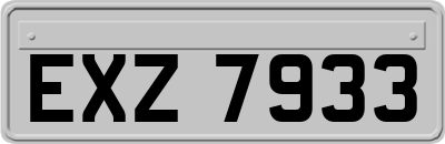 EXZ7933