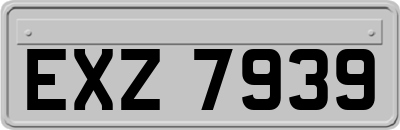 EXZ7939