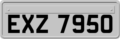 EXZ7950