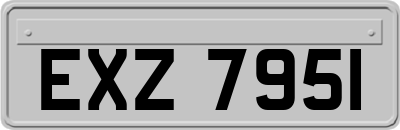 EXZ7951