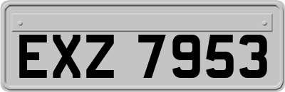 EXZ7953