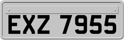 EXZ7955