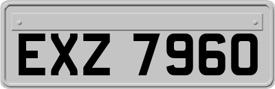 EXZ7960
