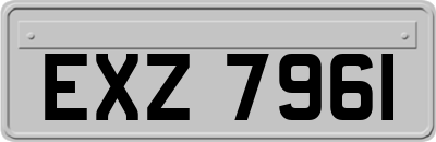 EXZ7961