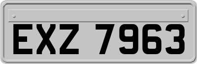 EXZ7963