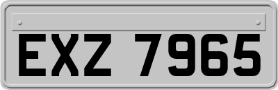 EXZ7965