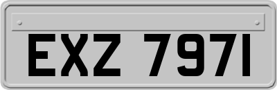 EXZ7971