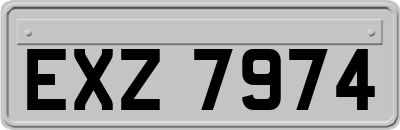 EXZ7974