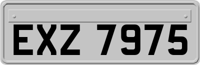EXZ7975