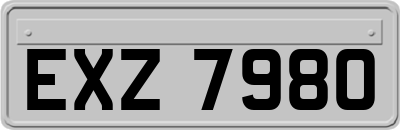 EXZ7980