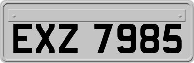 EXZ7985