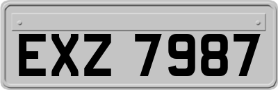 EXZ7987