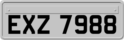 EXZ7988