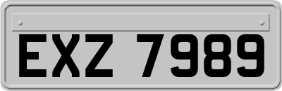 EXZ7989