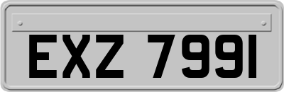 EXZ7991