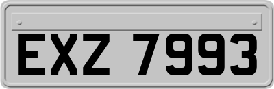 EXZ7993