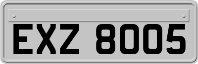 EXZ8005