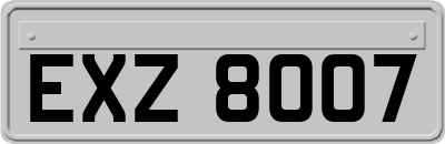 EXZ8007