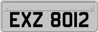 EXZ8012