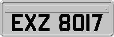 EXZ8017