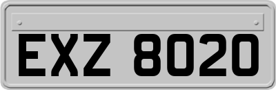 EXZ8020