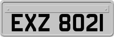 EXZ8021