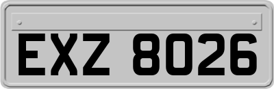 EXZ8026