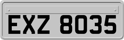 EXZ8035