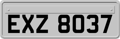 EXZ8037