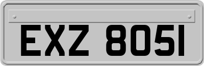EXZ8051