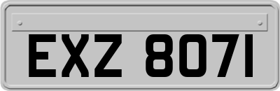 EXZ8071