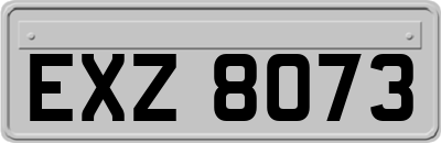 EXZ8073